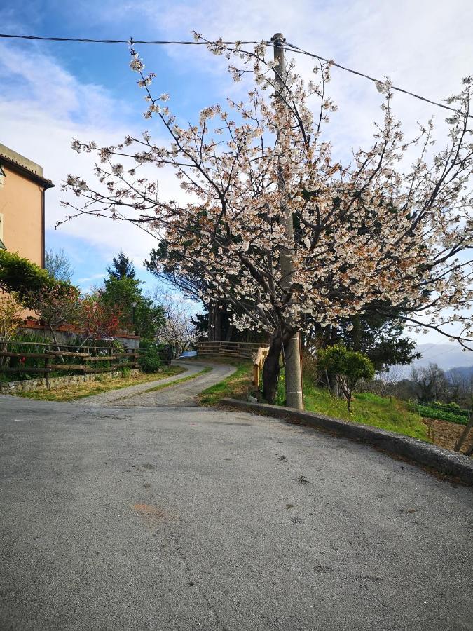 Fegino B&B Genova Country מראה חיצוני תמונה